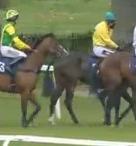 Called horse 100
