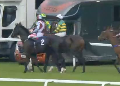 Called horse 139