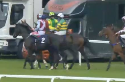Called horse 139