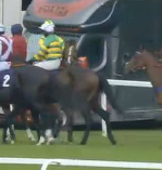 Called horse 139
