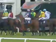 Called horse 139