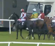 Called horse 142