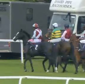 Called horse 142