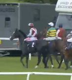 Called horse 142
