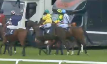 Called horse 139