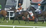 Called horse 140