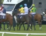 Called horse 152