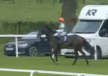 Called horse 144