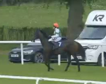 Called horse 144