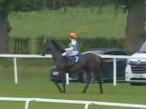 Called horse 144