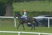 Called horse 144