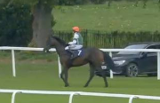 Called horse 144