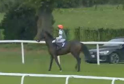 Called horse 144