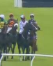 Called horse 187
