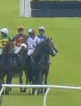 Called horse 187