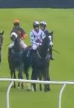 Called horse 187