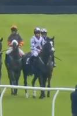 Called horse 187