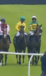 Called horse 210