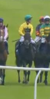Called horse 210