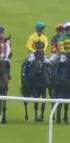 Called horse 210