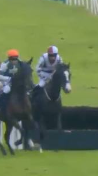 Called horse 219