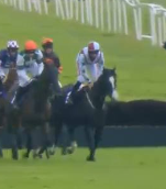 Called horse 219