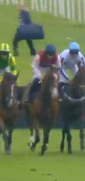 Called horse 248