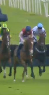 Called horse 248