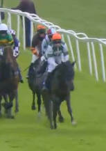 Called horse 219