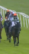 Called horse 219