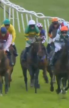 Called horse 246