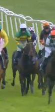 Called horse 246
