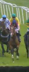 Called horse 269