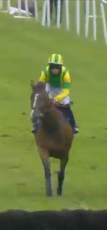 Called horse 242