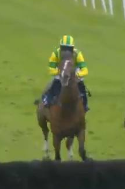 Called horse 242
