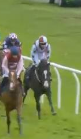 Called horse 280