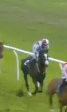 Called horse 280