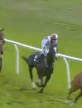 Called horse 280
