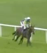 Called horse 375