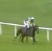 Called horse 375