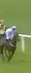 Called horse 370