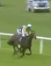 Called horse 375