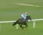 Called horse 354