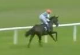 Called horse 354
