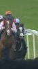 Called horse 432