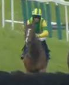 Called horse 433