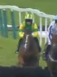 Called horse 433