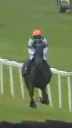 Called horse 434