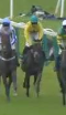 Called horse 437