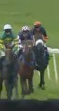 Called horse 439